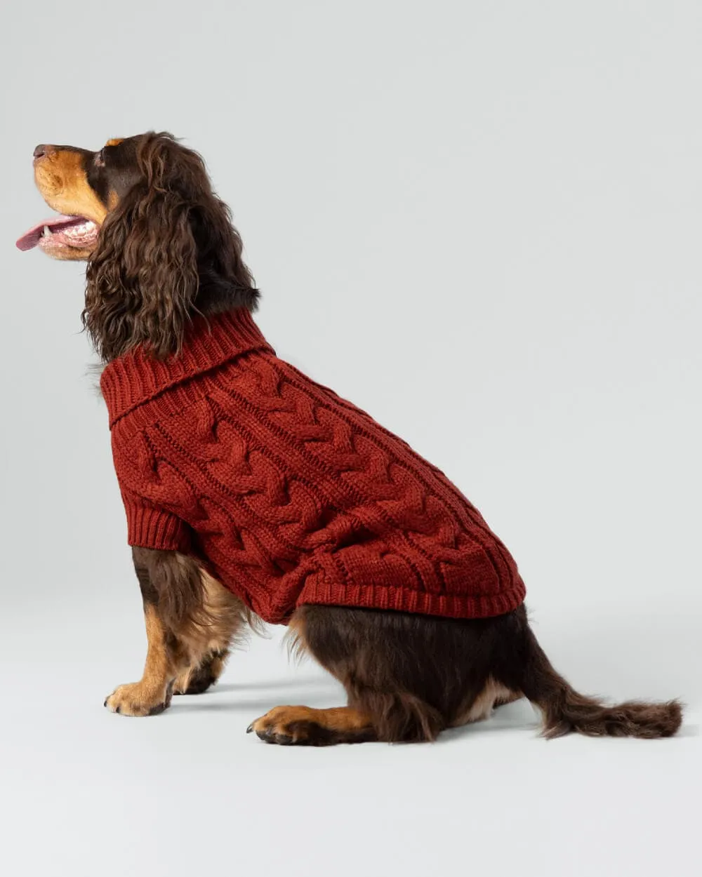 Cable Knit Pullover Dog Jumper - Brick