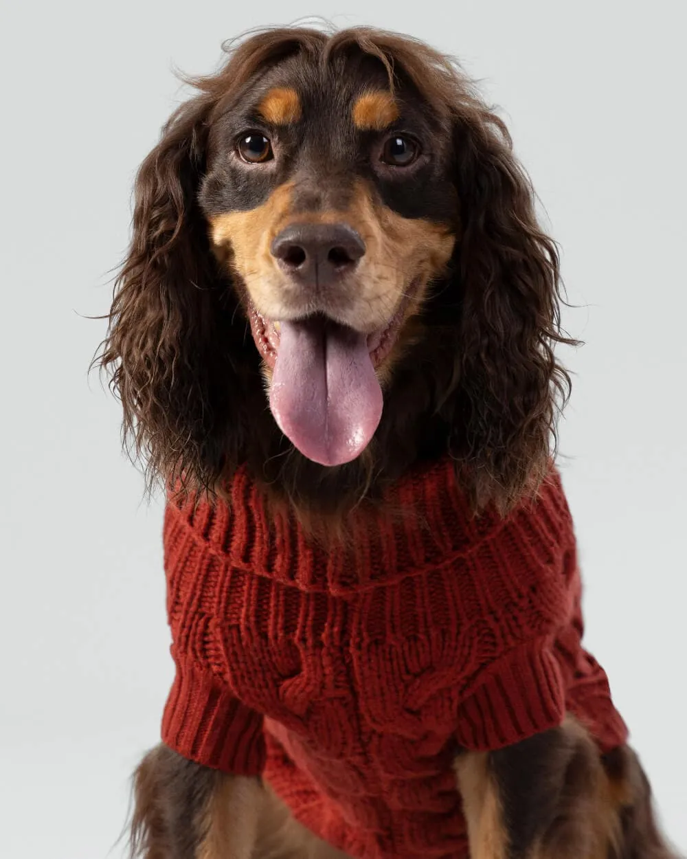 Cable Knit Pullover Dog Jumper - Brick