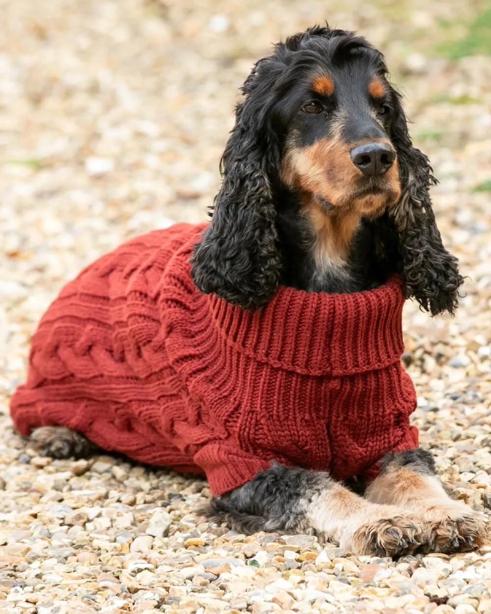 Cable Knit Pullover Dog Jumper - Brick