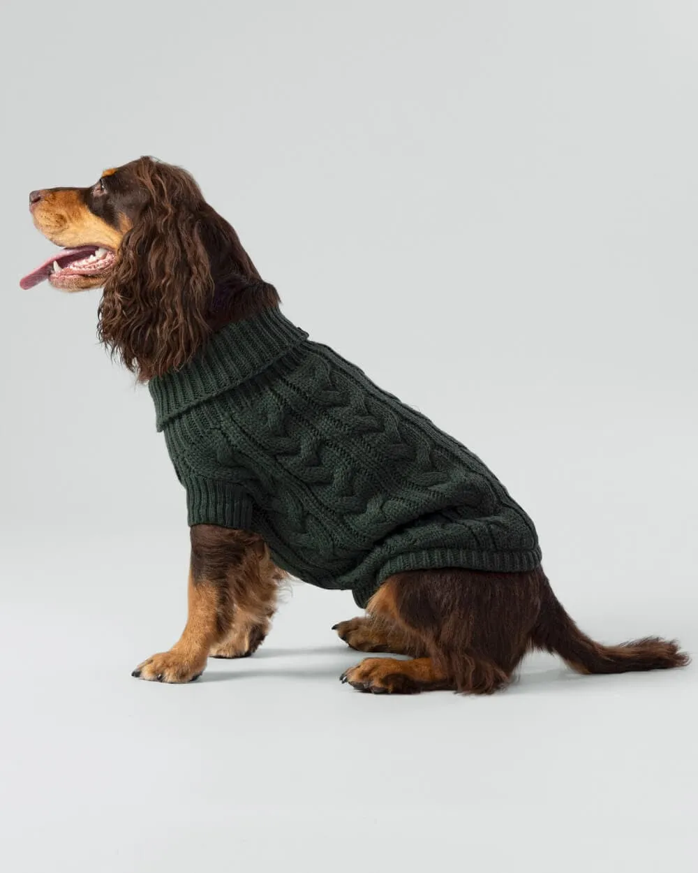 Cable Knit Pullover Dog Jumper - Green