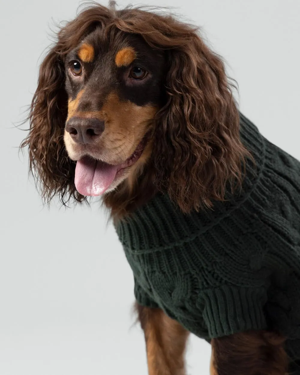 Cable Knit Pullover Dog Jumper - Green