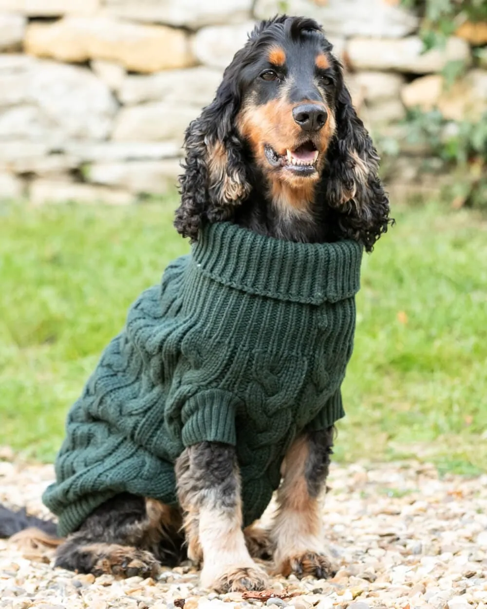 Cable Knit Pullover Dog Jumper - Green