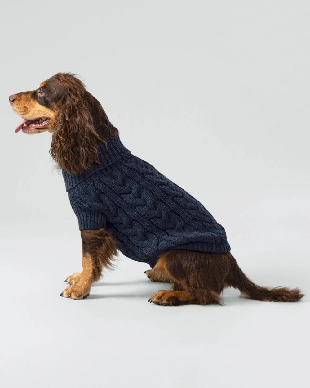 Cable Knit Pullover Dog Jumper - Navy