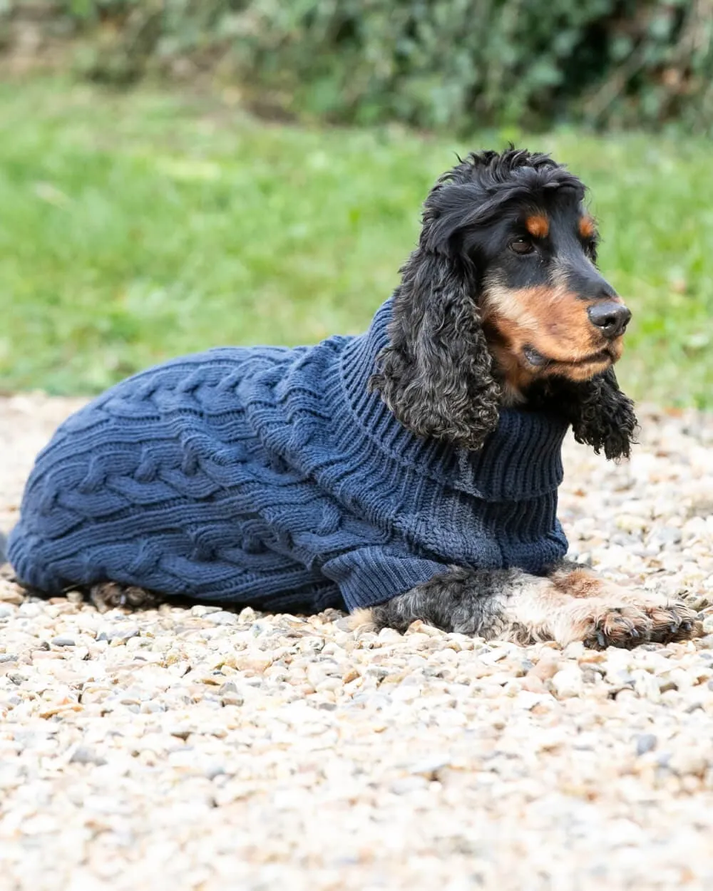 Cable Knit Pullover Dog Jumper - Navy